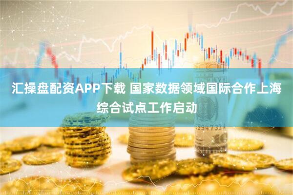 汇操盘配资APP下载 国家数据领域国际合作上海综合试点工作启动