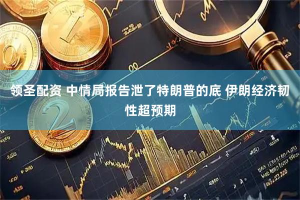 领圣配资 中情局报告泄了特朗普的底 伊朗经济韧性超预期
